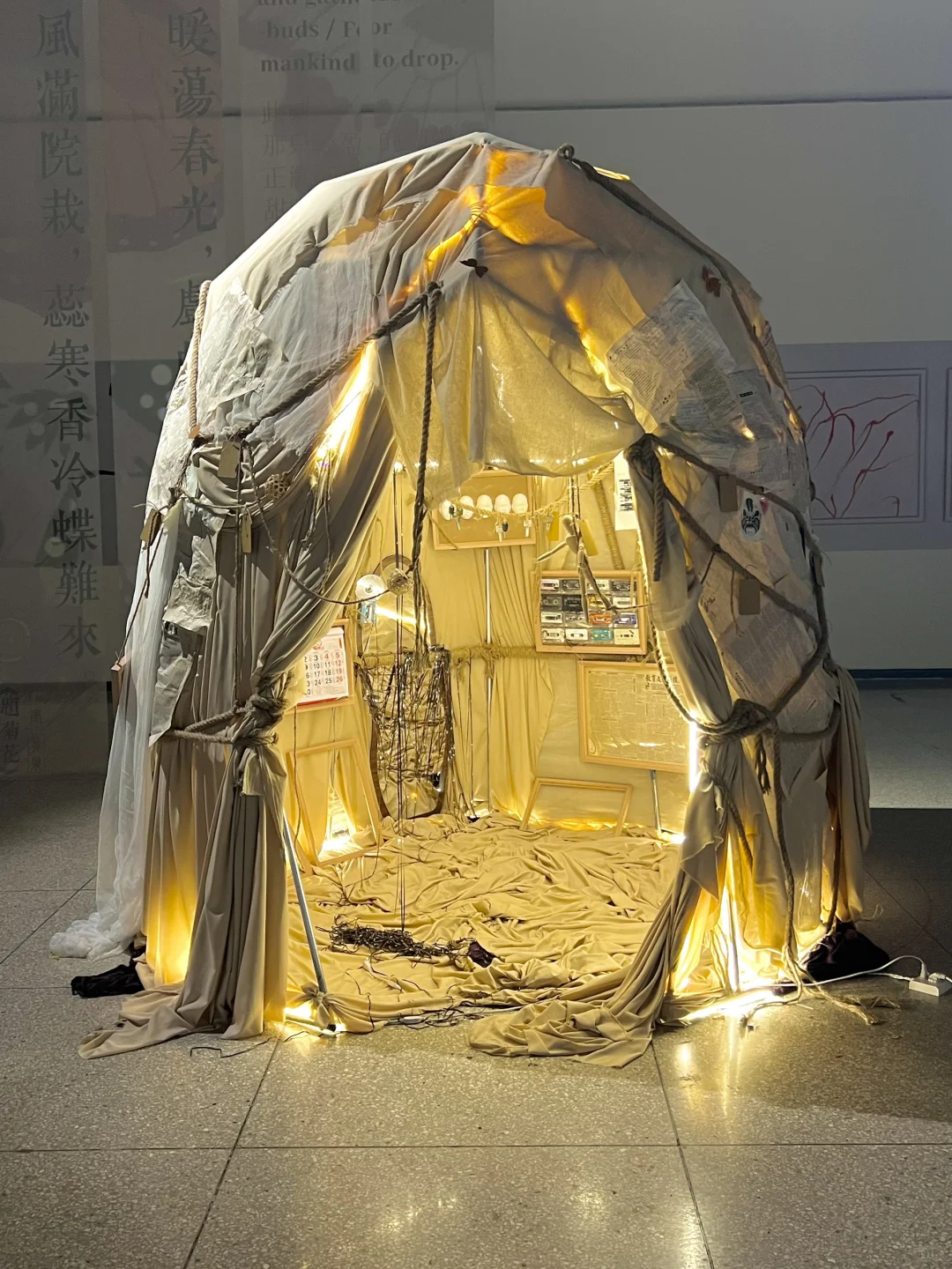 武汉新展！蓝色蝴蝶?美哭了！！