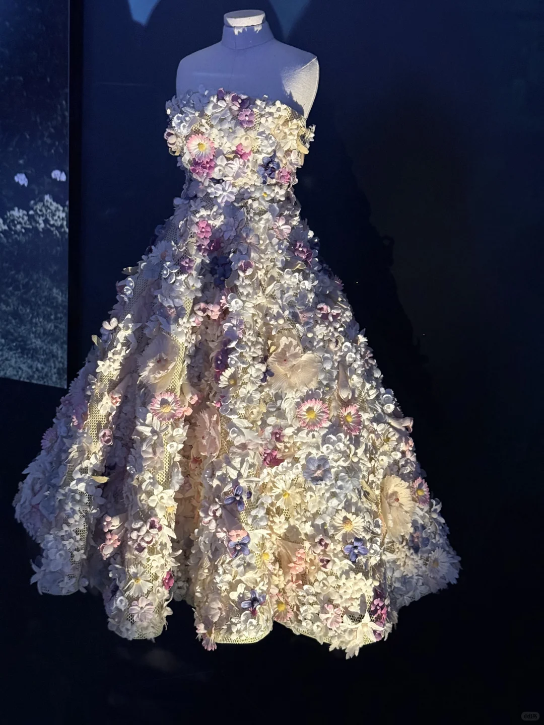 ?上海Miss Dior 展览