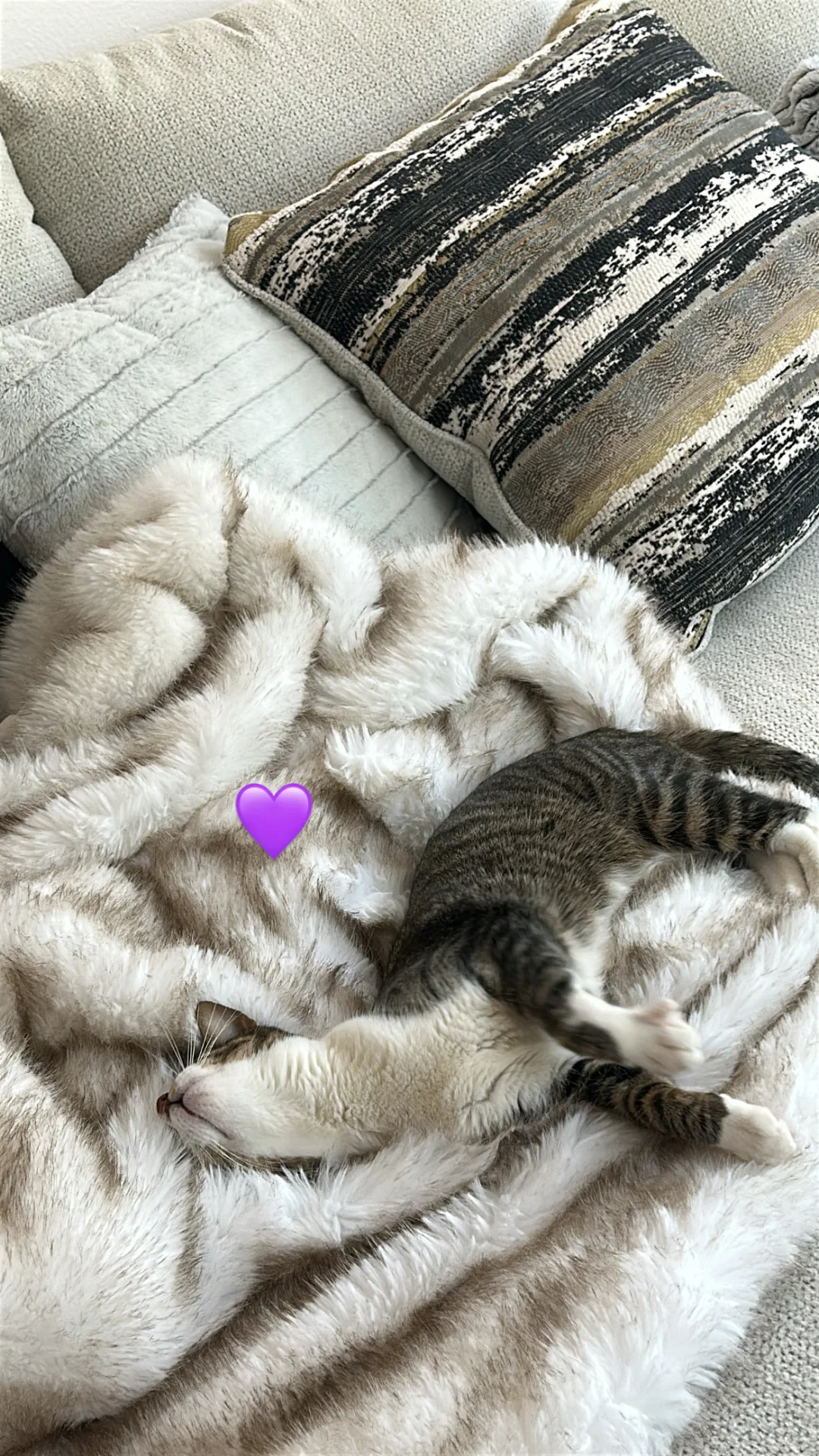 ??LA?瑜伽少婦的日常????‍♀️??