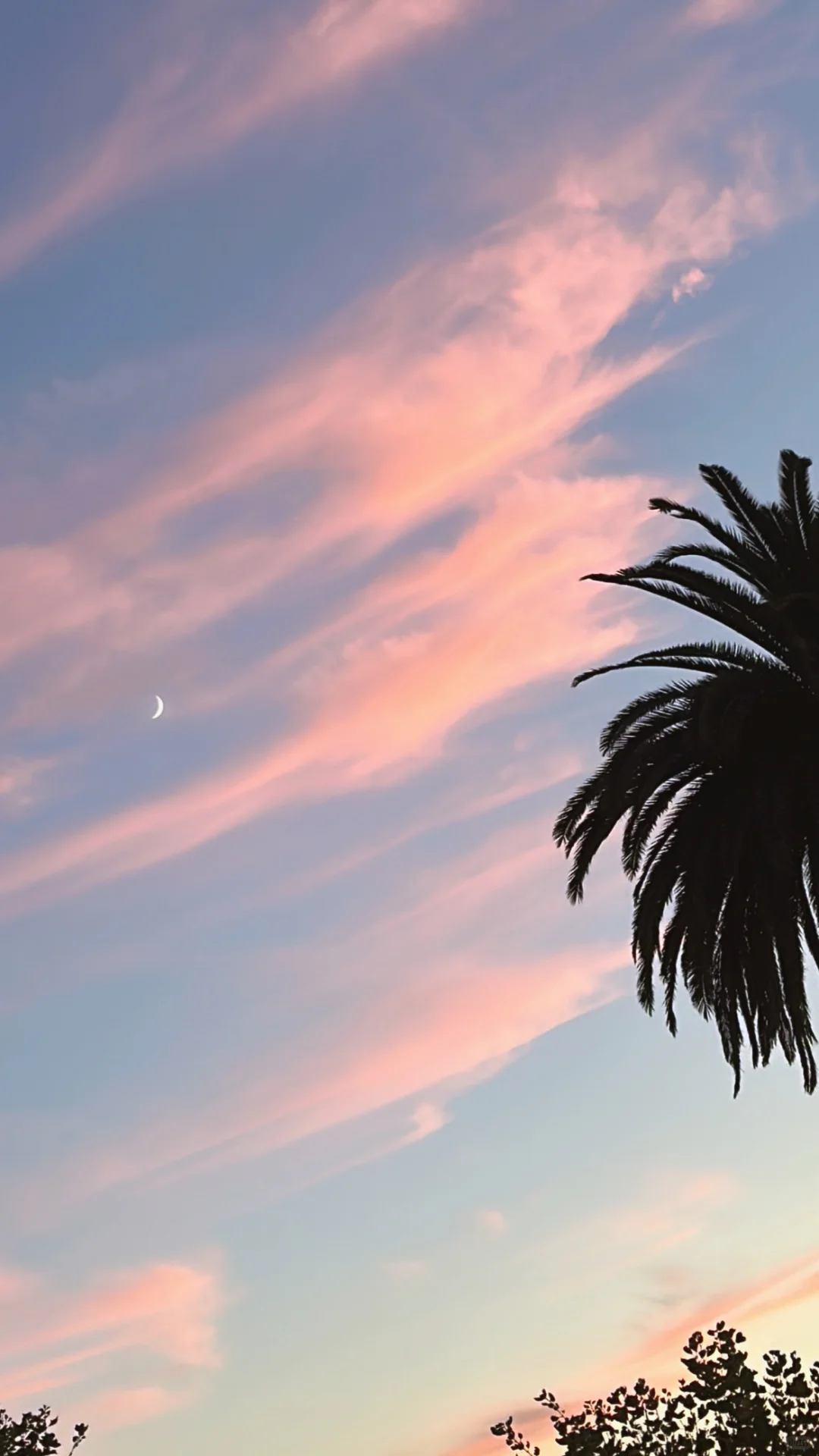 ??LA?瑜伽少婦的日常????‍♀️??