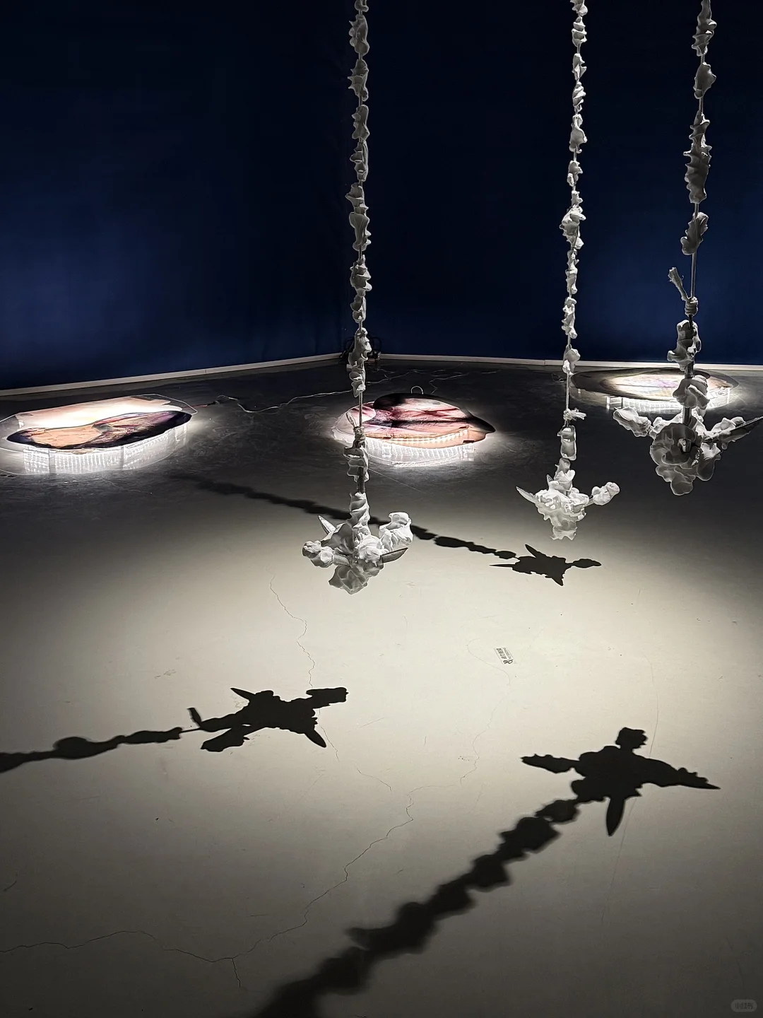 杭州｜⚫️?9月高质量双展连看