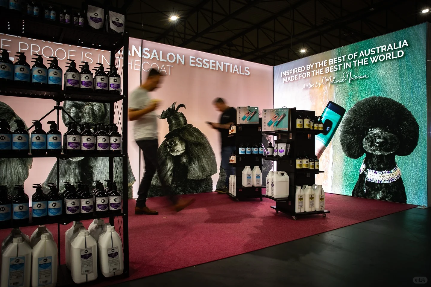 ✨ Melanienewman在比利时Groomania展会 ✨