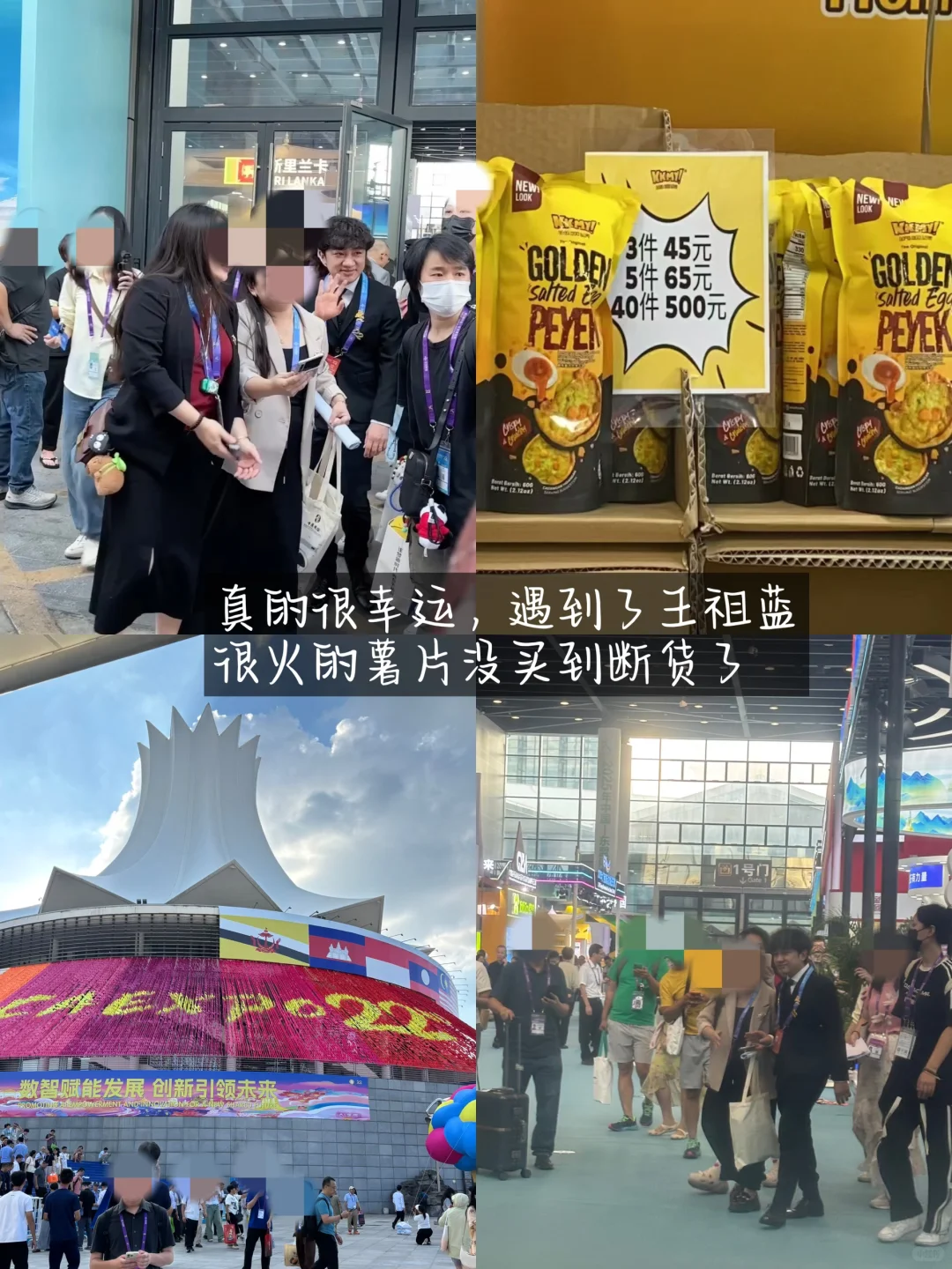 2025东盟博览会，公众开放日来了(攻略）