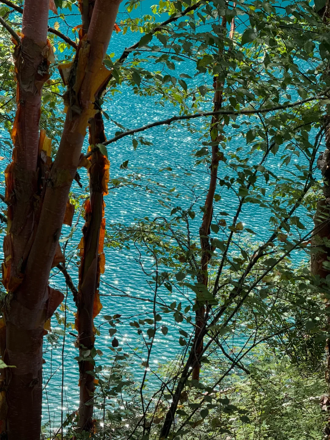 九寨沟+四姑娘山 6日漫游