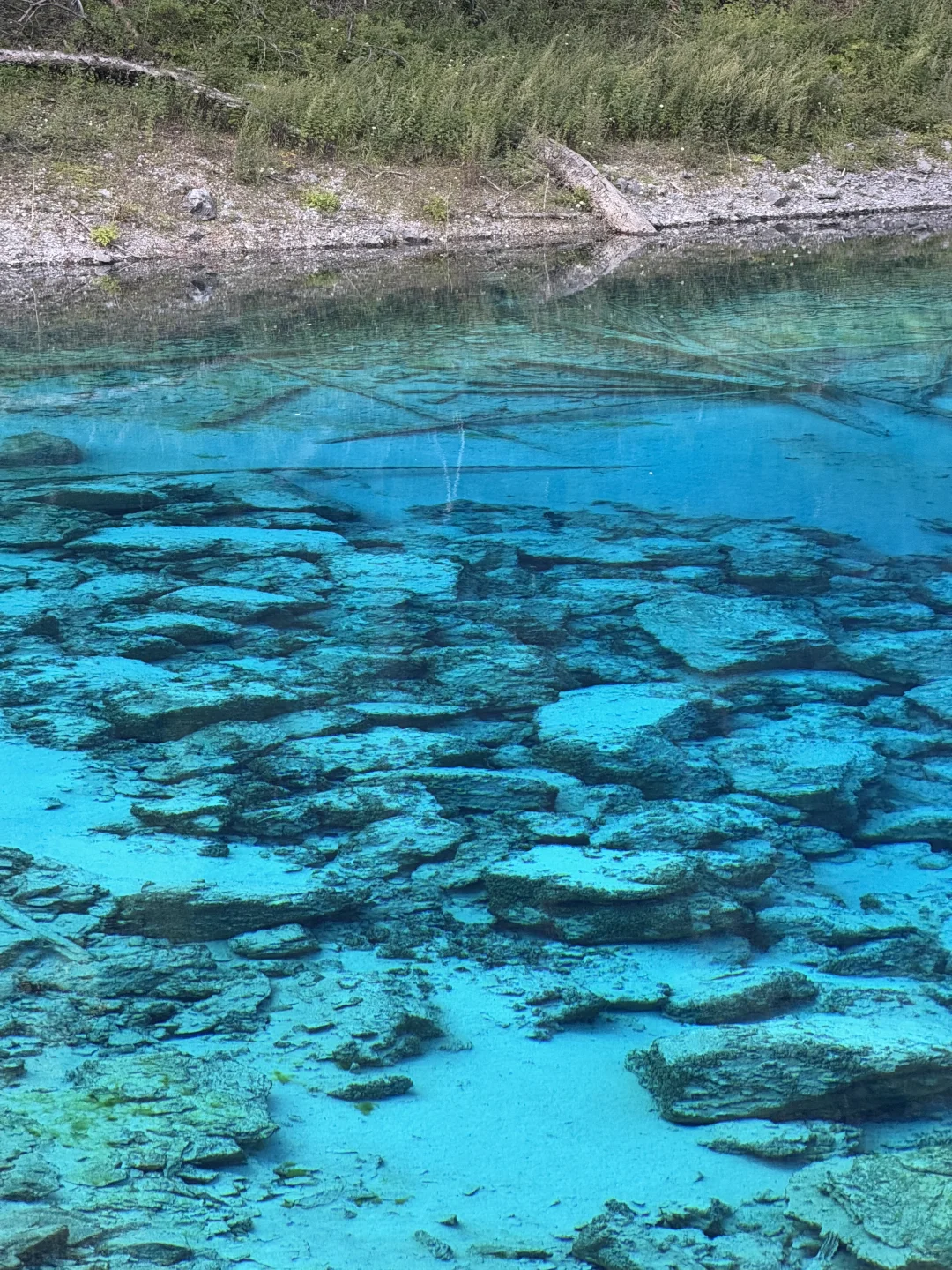 九寨沟+四姑娘山 6日漫游