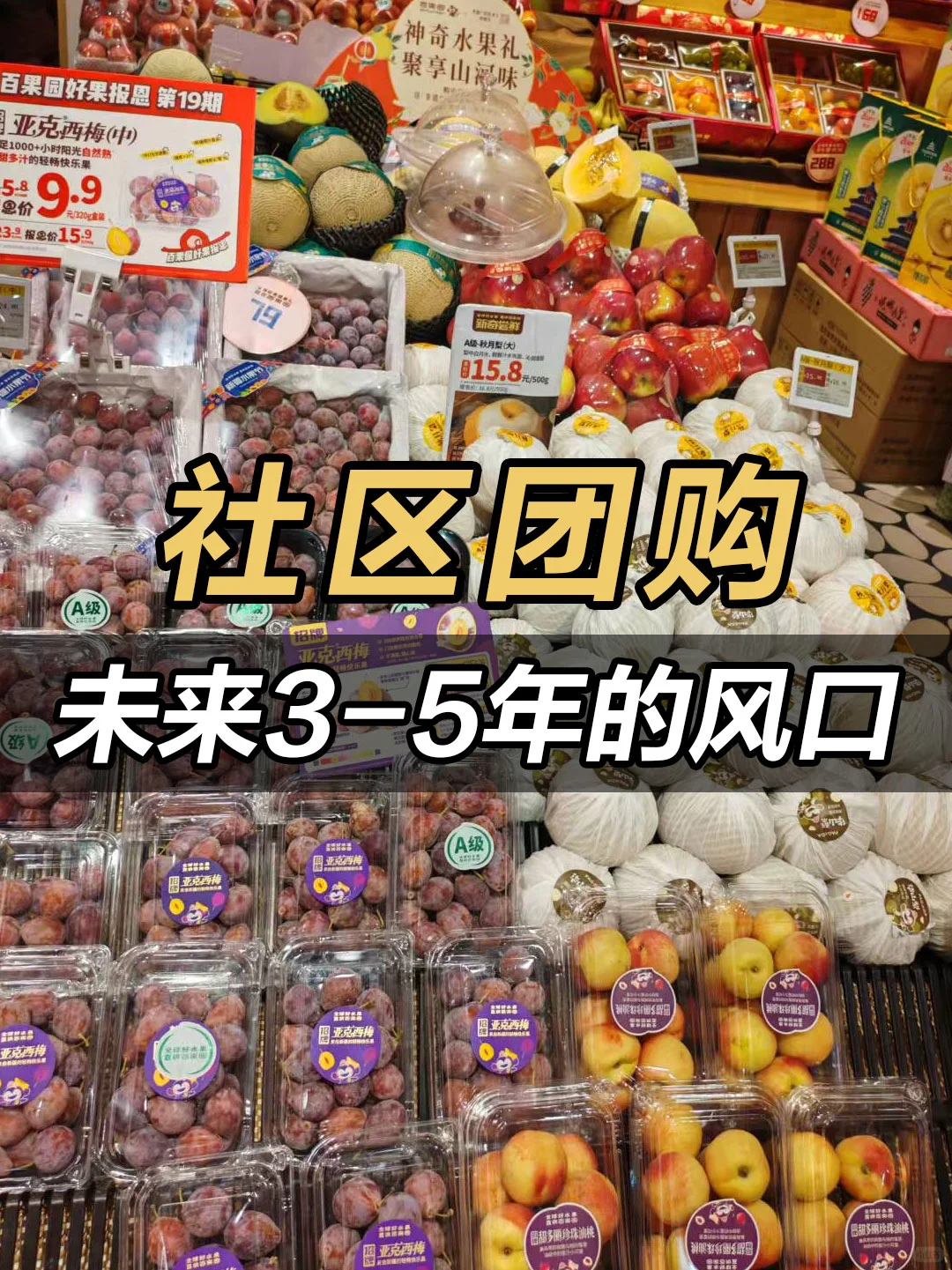 社区团购是未来3-5年的风口