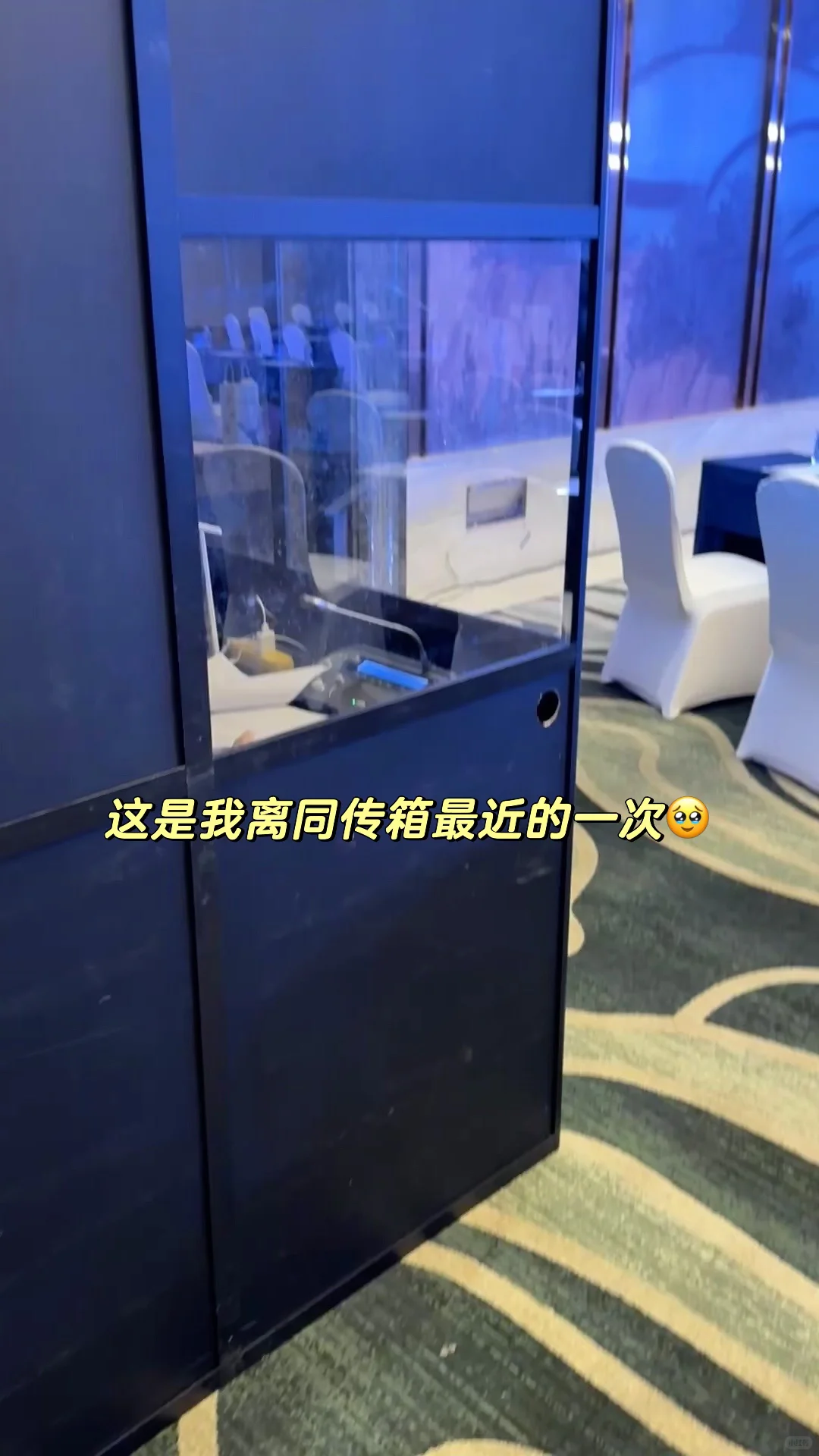 02翻硕男大｜东博会高级口译接待日记?