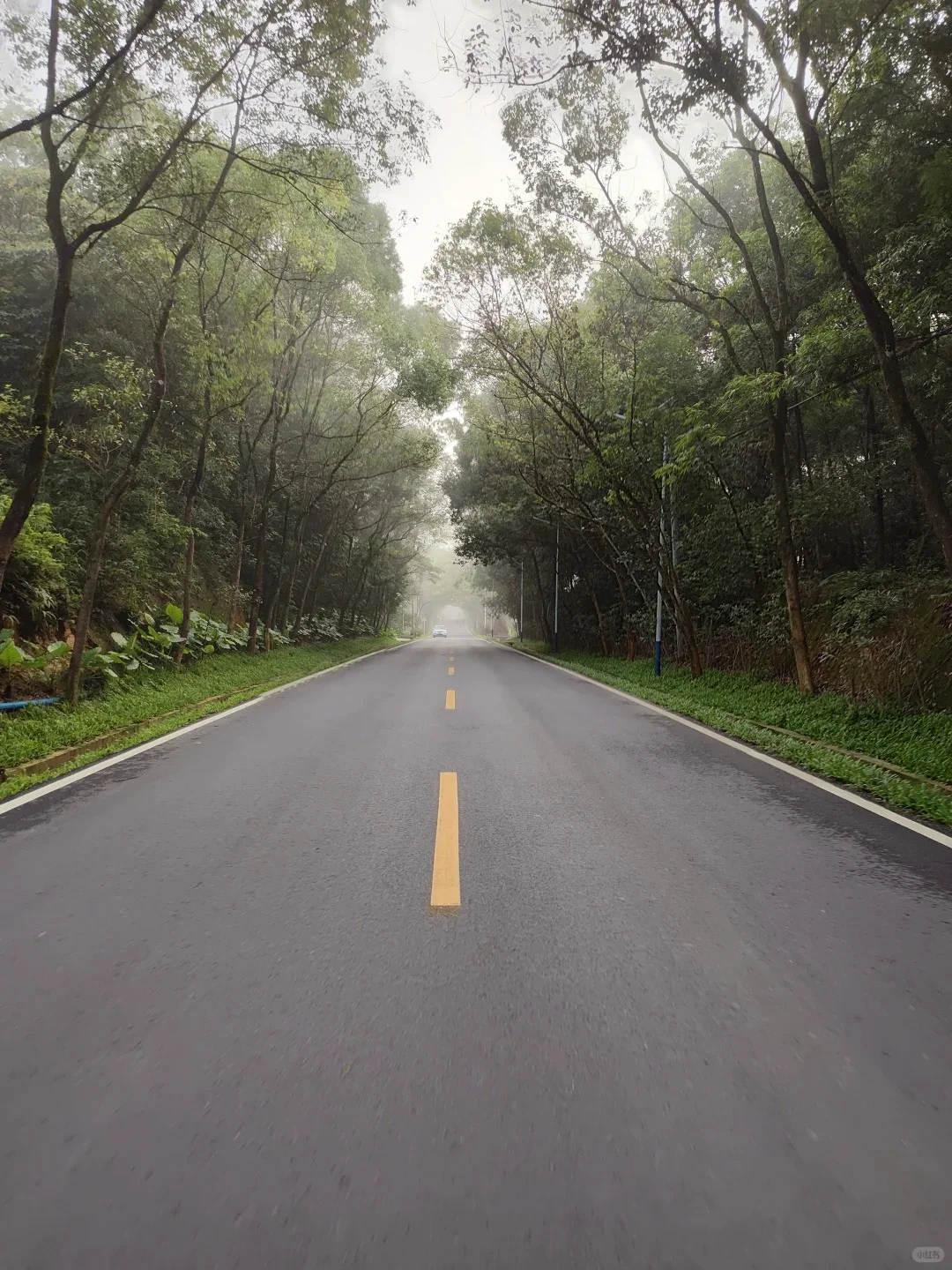 惠州218公里公路出圈！自驾必打卡路线?