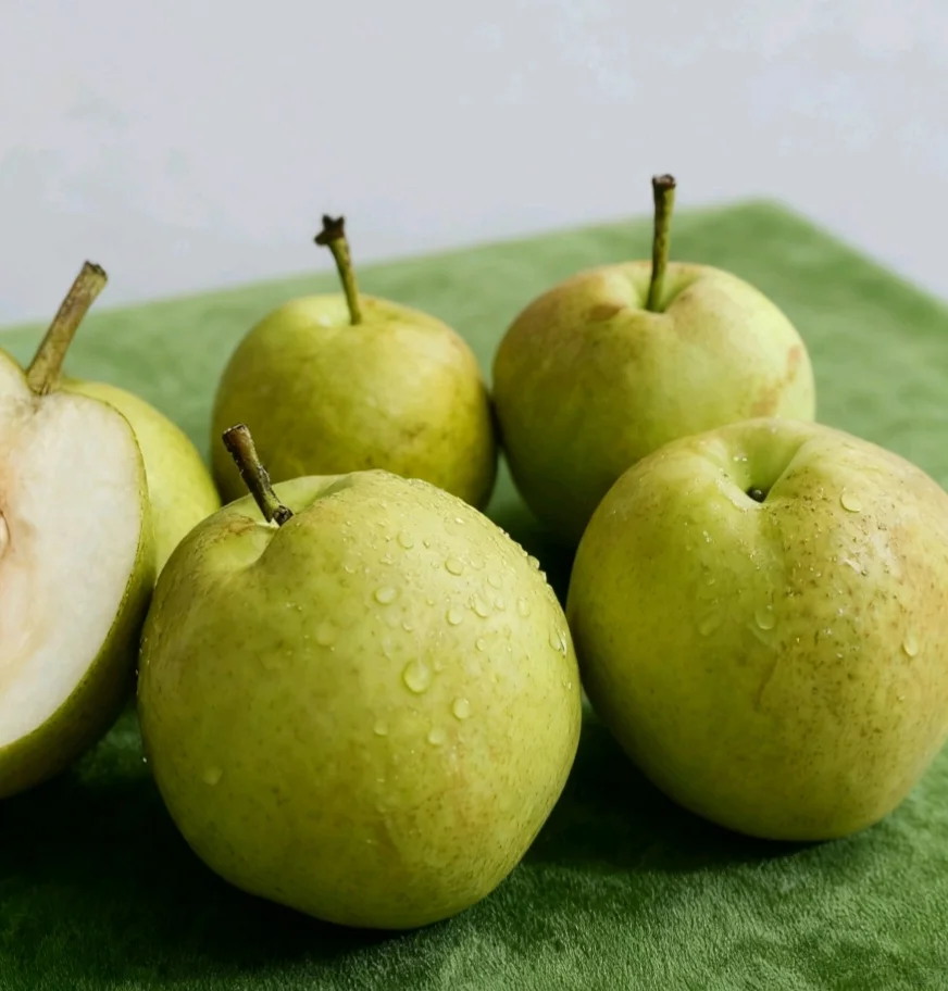 玉露香开始上新啦