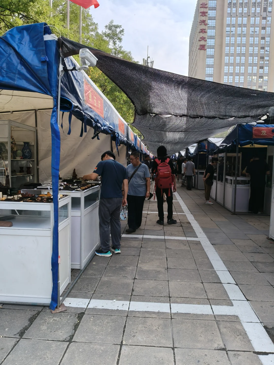 感觉都是老演员了