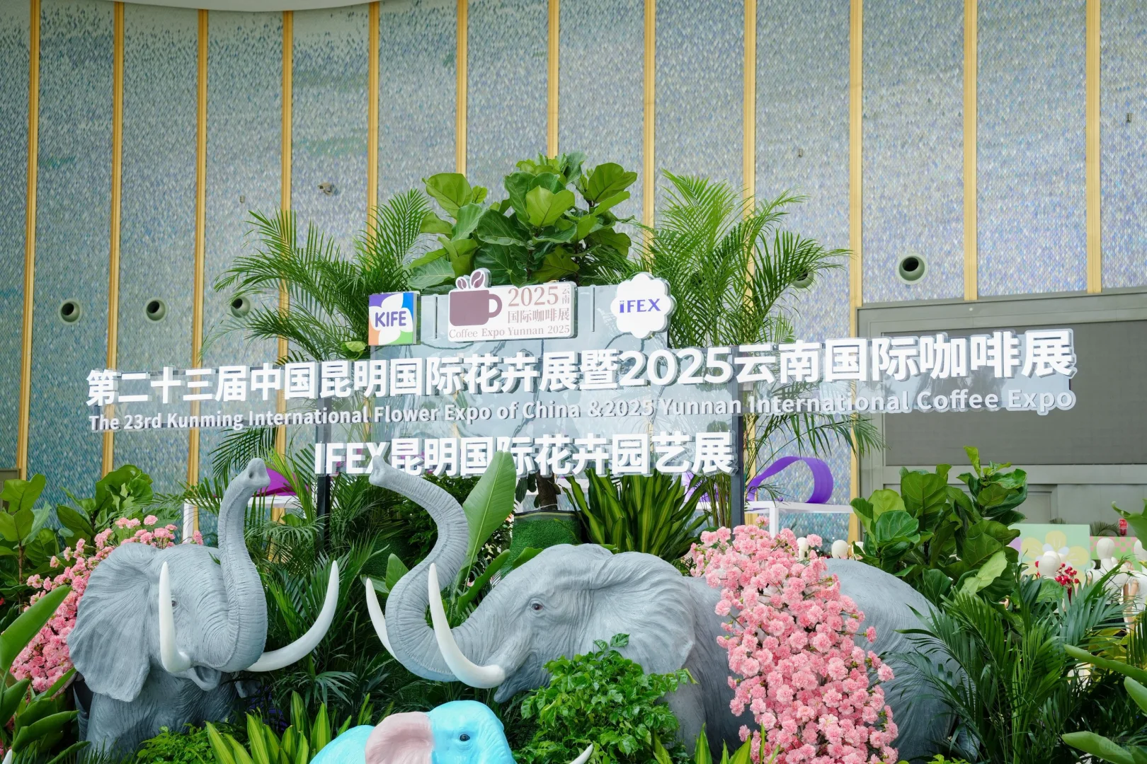 昆明花展｜跟着步导图，直达蕊漪展位！