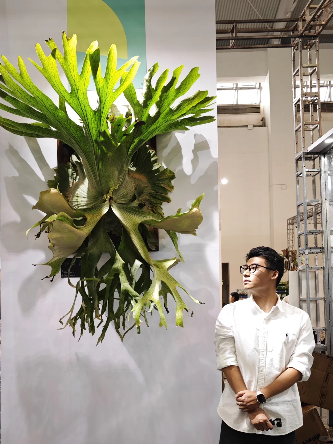 逛热植展就是有种太监逛青楼的无力感