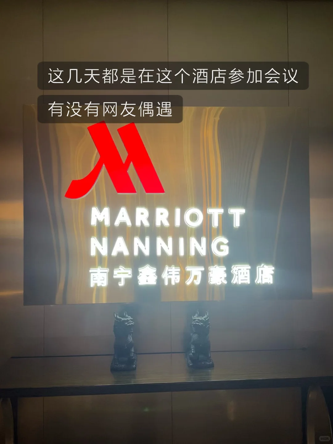 东盟博览会 发现这些普通人闷声发财的商机