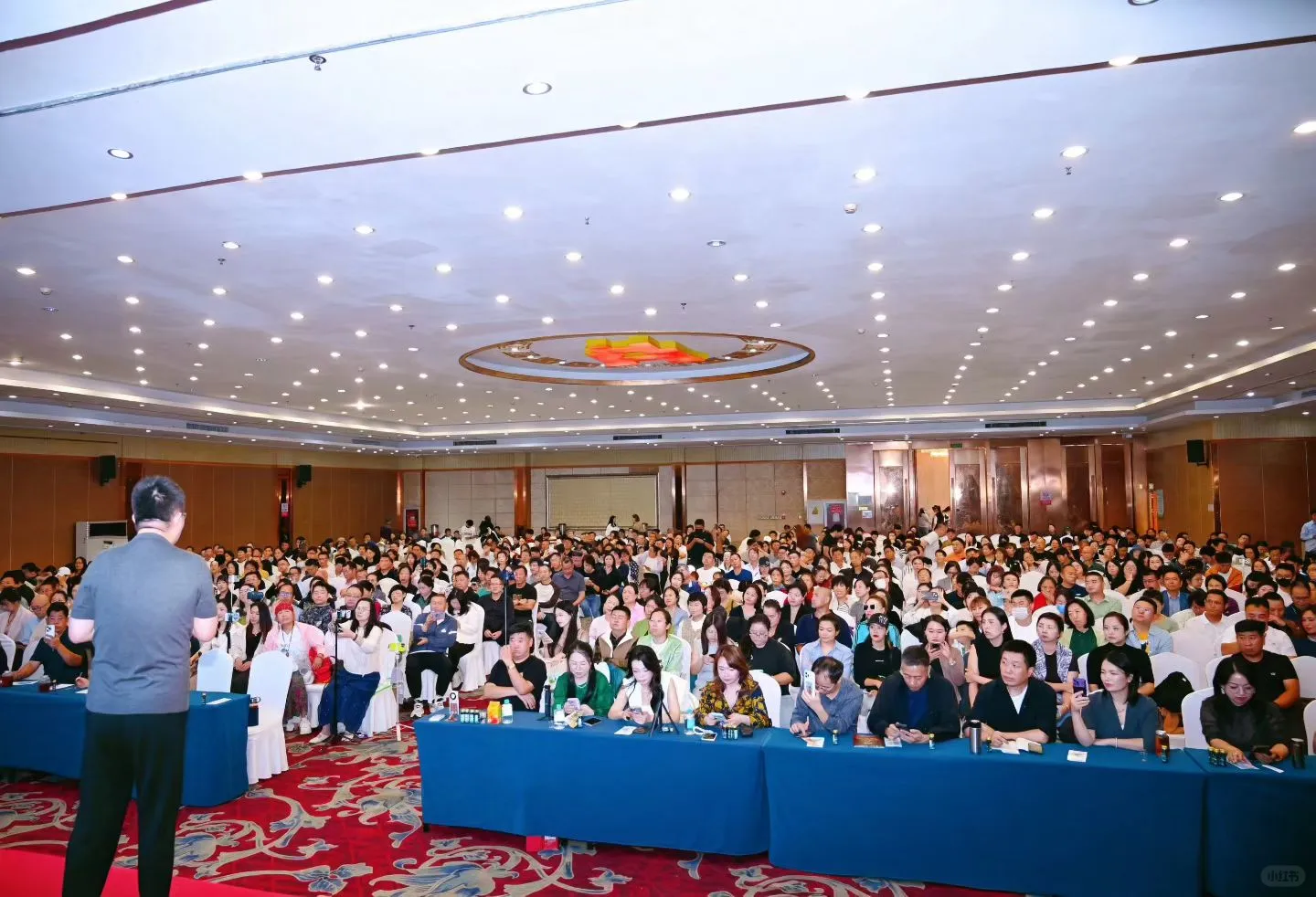 实体新模型-远方安选