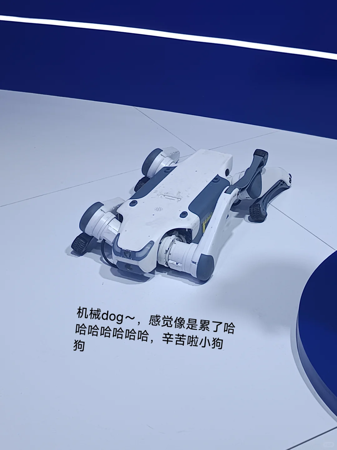 东盟博览会结算