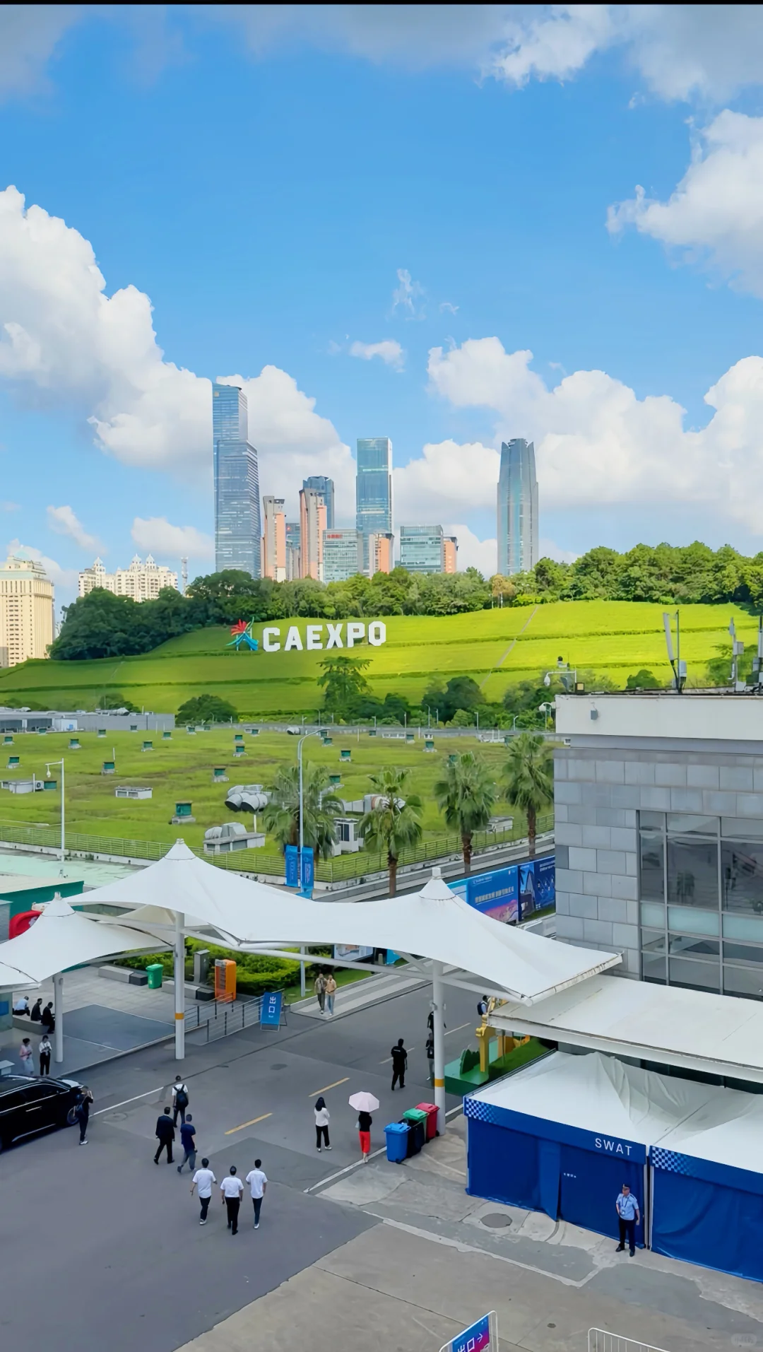 2025年东盟博览会哪些东西值得尝试