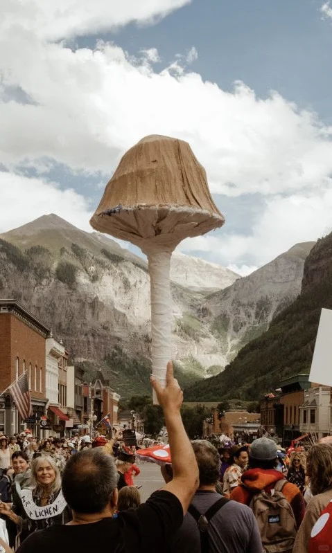 进来感受一下全球最大蘑菇节的震撼