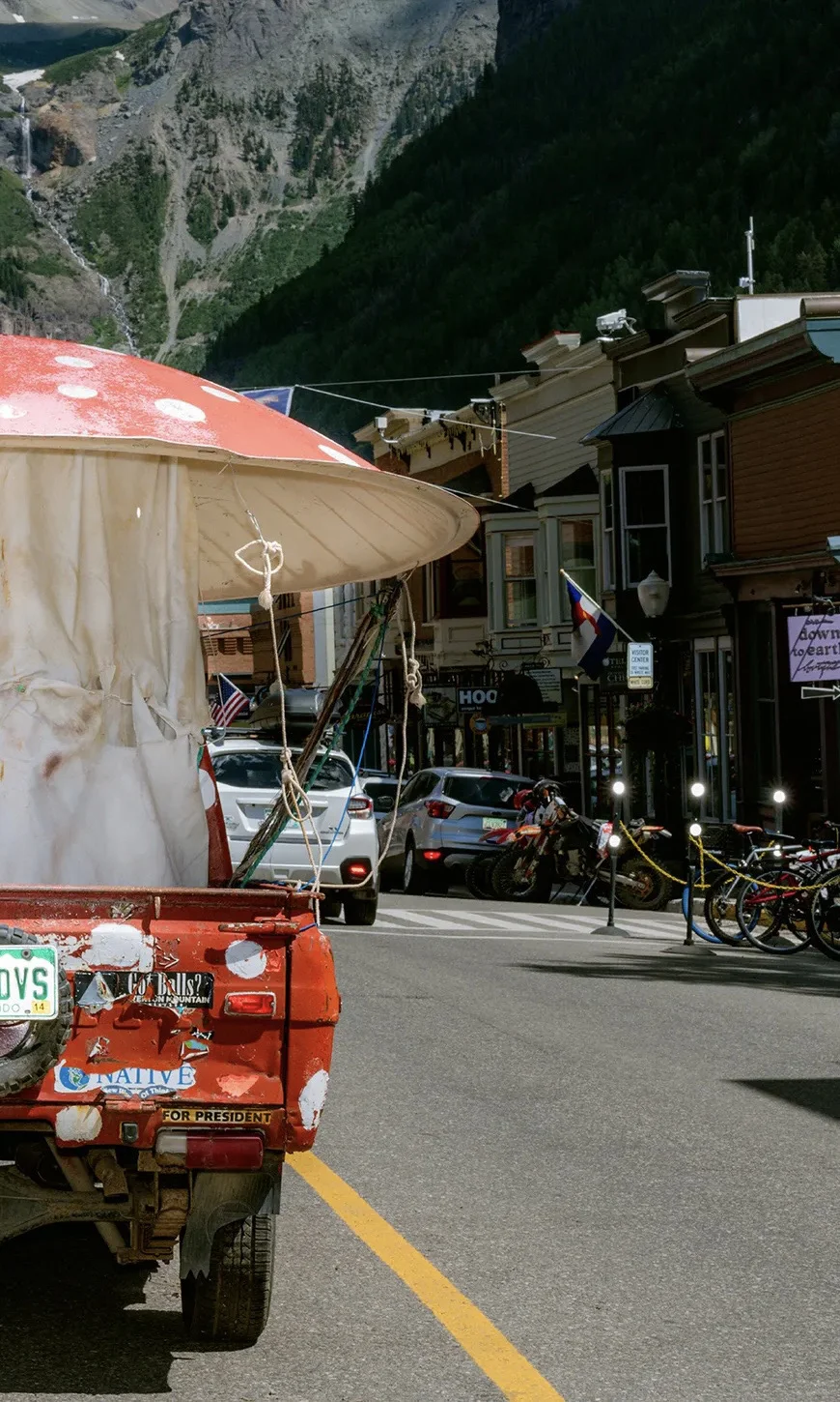 进来感受一下全球最大蘑菇节的震撼