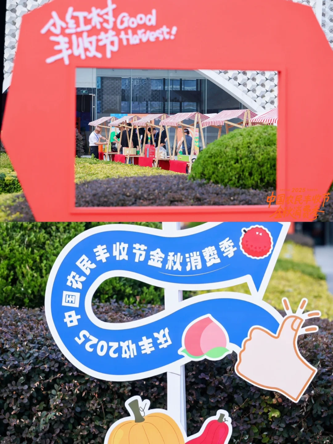 太好了，是丰收节VS坏了，周末要加班