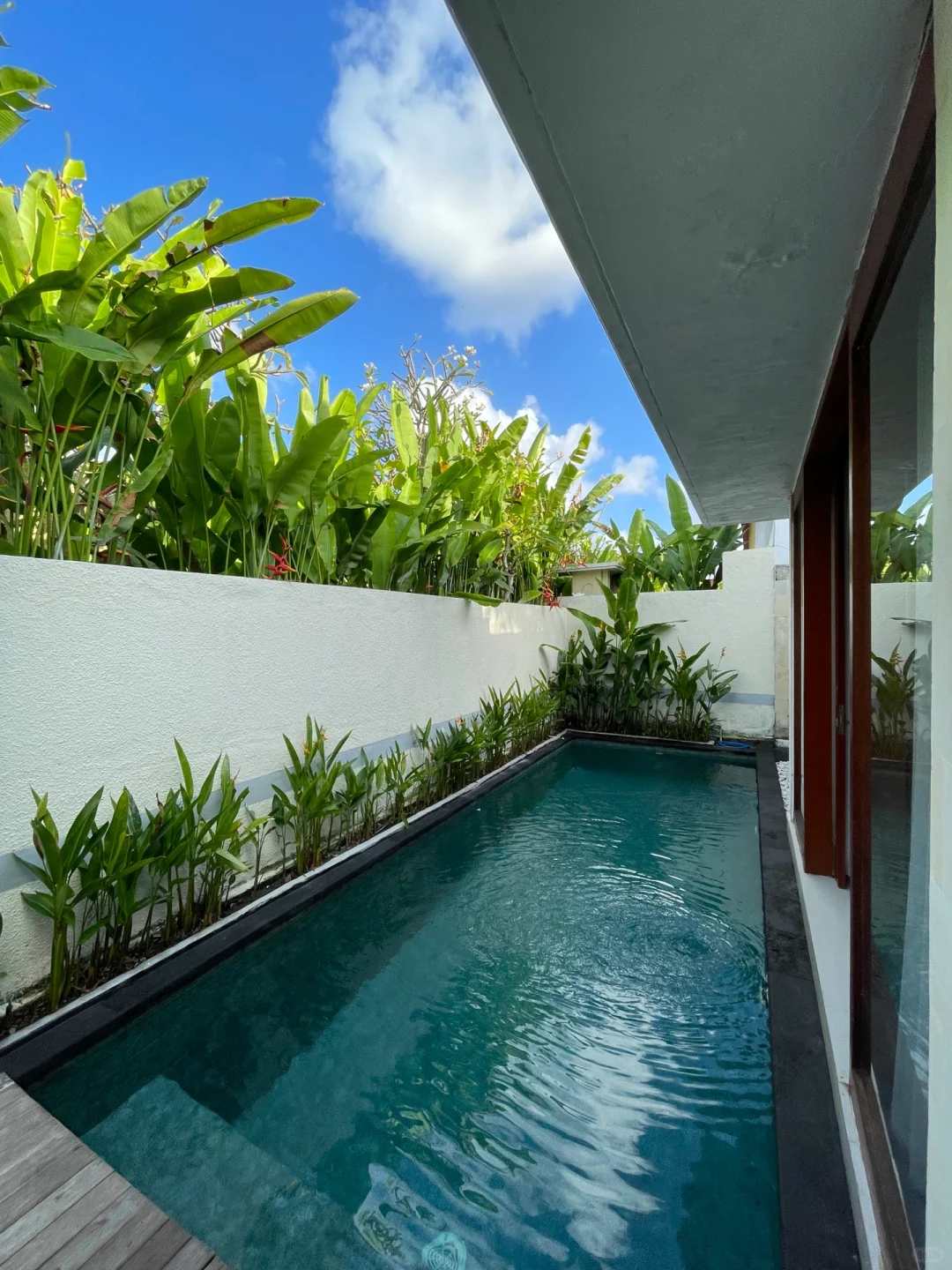 巴厘岛真的穿衣自由