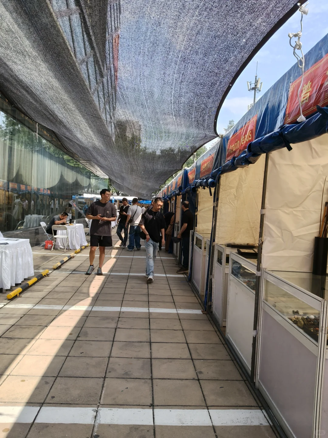 感觉都是老演员了