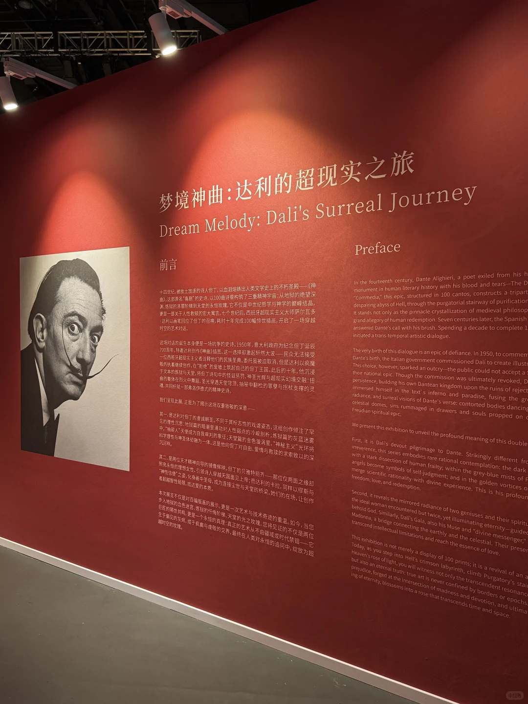 长沙新展｜在达利神曲里感受艺术美学?✨?