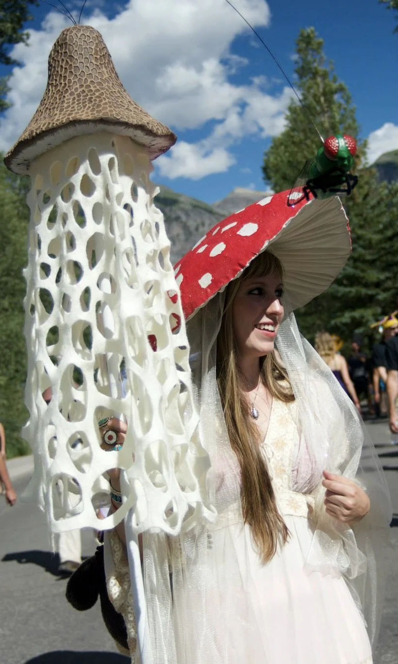 进来感受一下全球最大蘑菇节的震撼