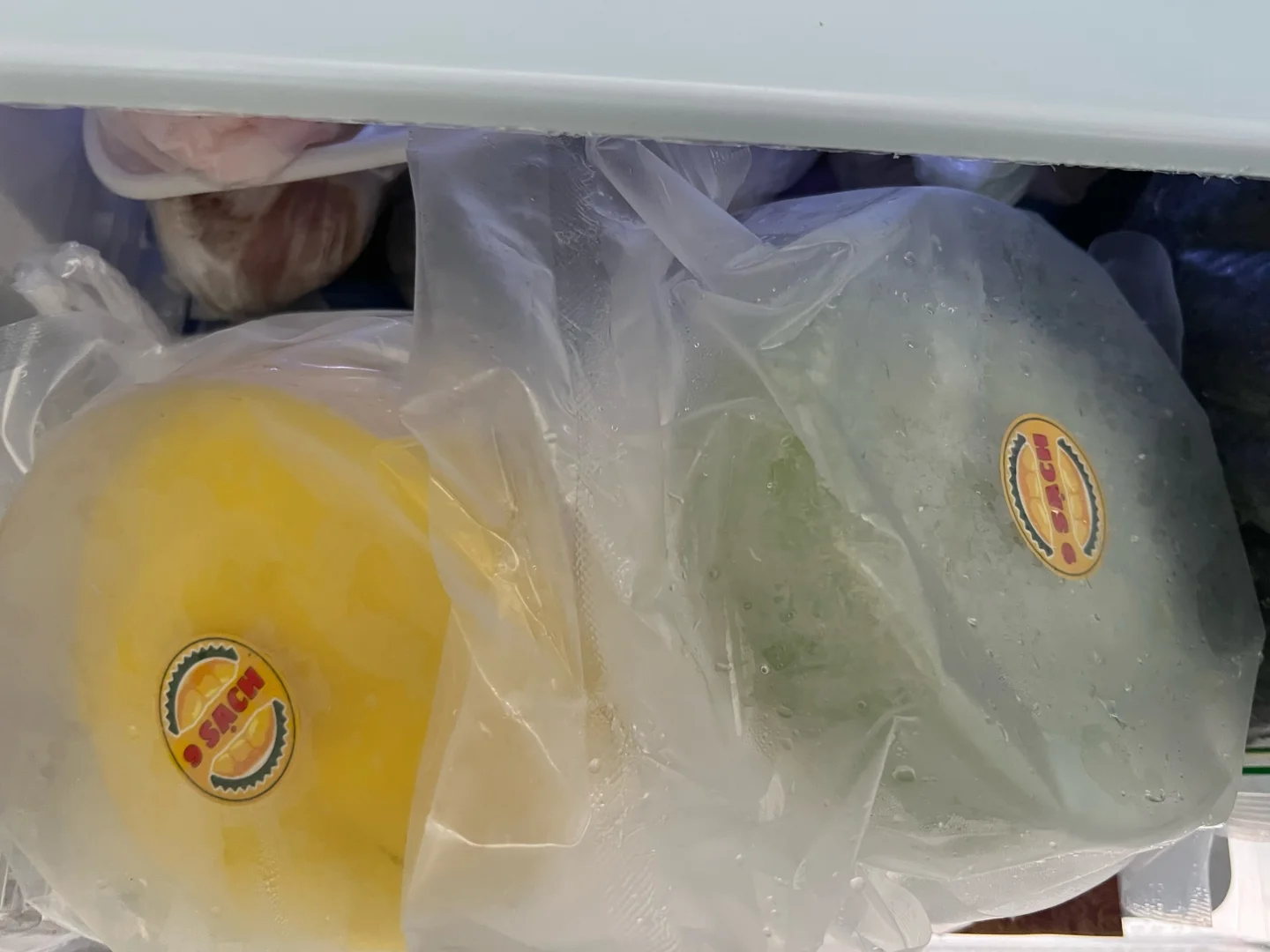 带2岁宝宝勇闯东盟博览会