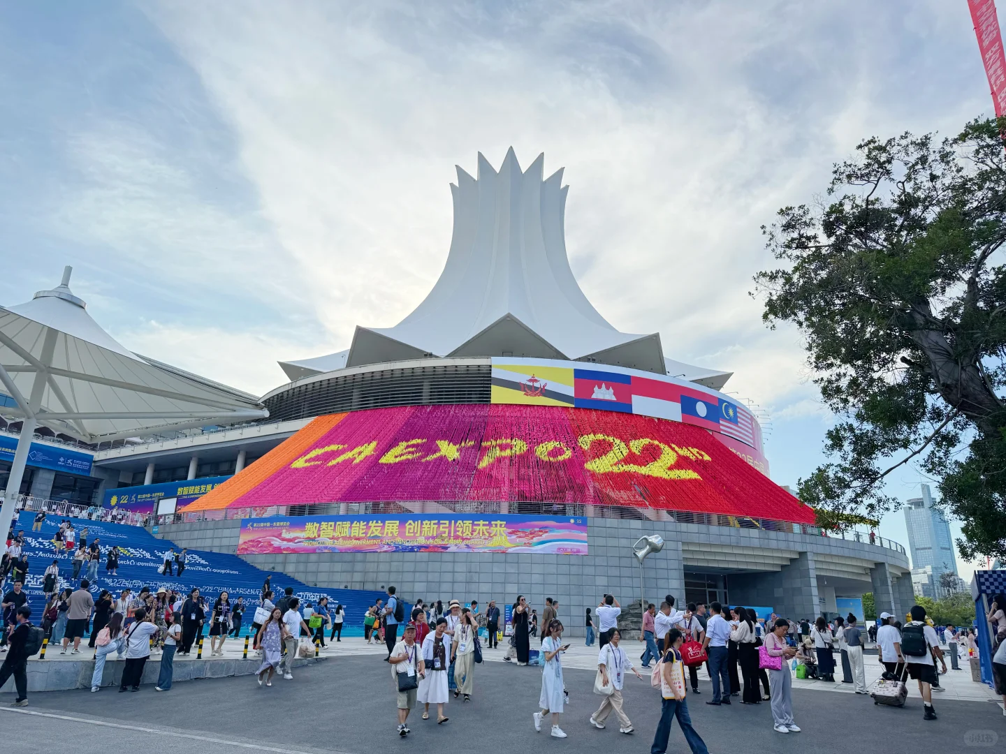 2025年东盟博览会哪些东西值得尝试