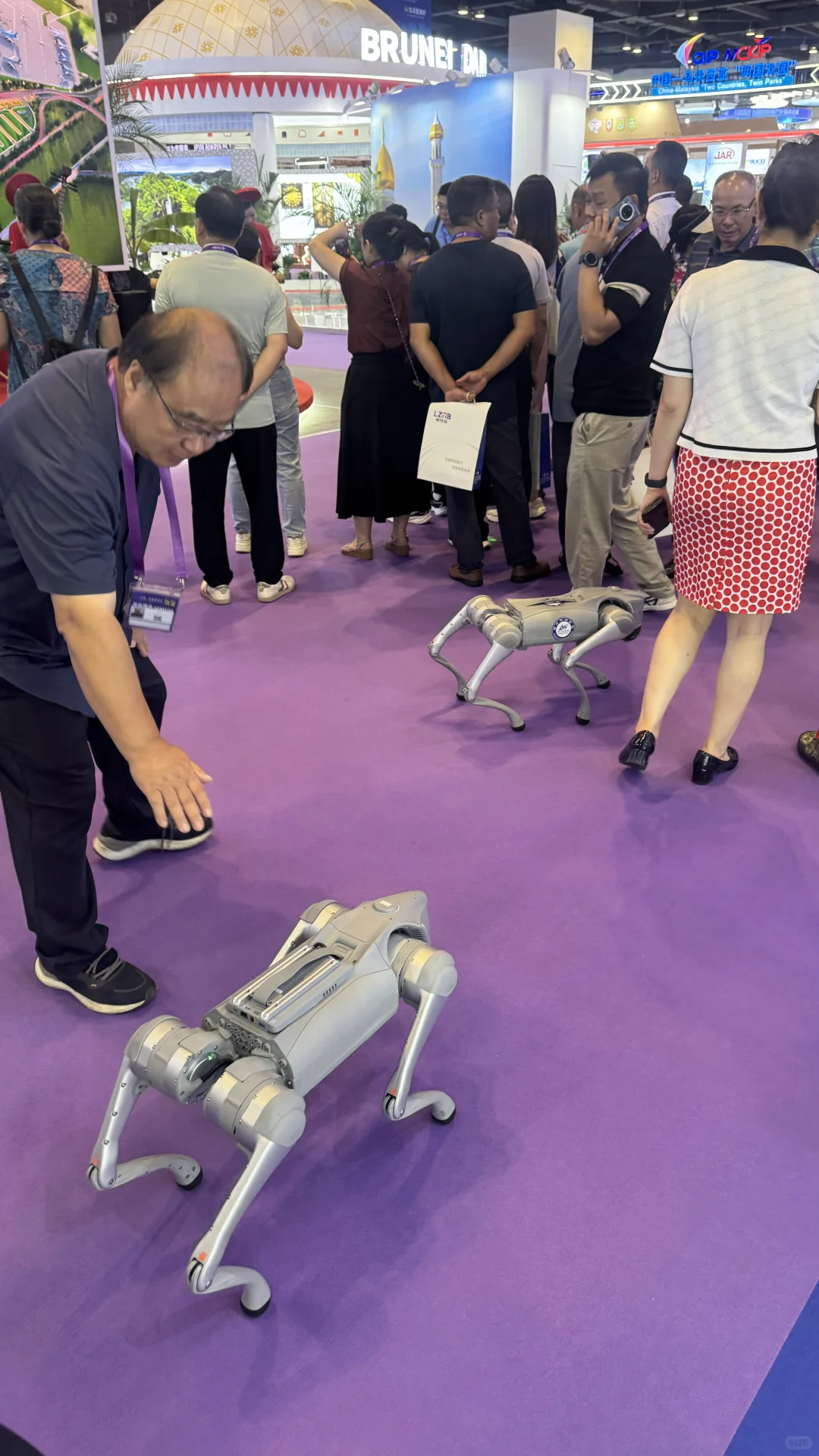 东盟博览会｜我先替你们买啦！薅羊毛攻略！