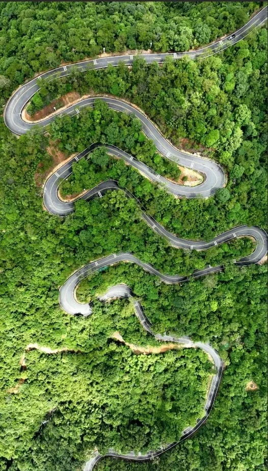 惠州218公里公路出圈！自驾必打卡路线?