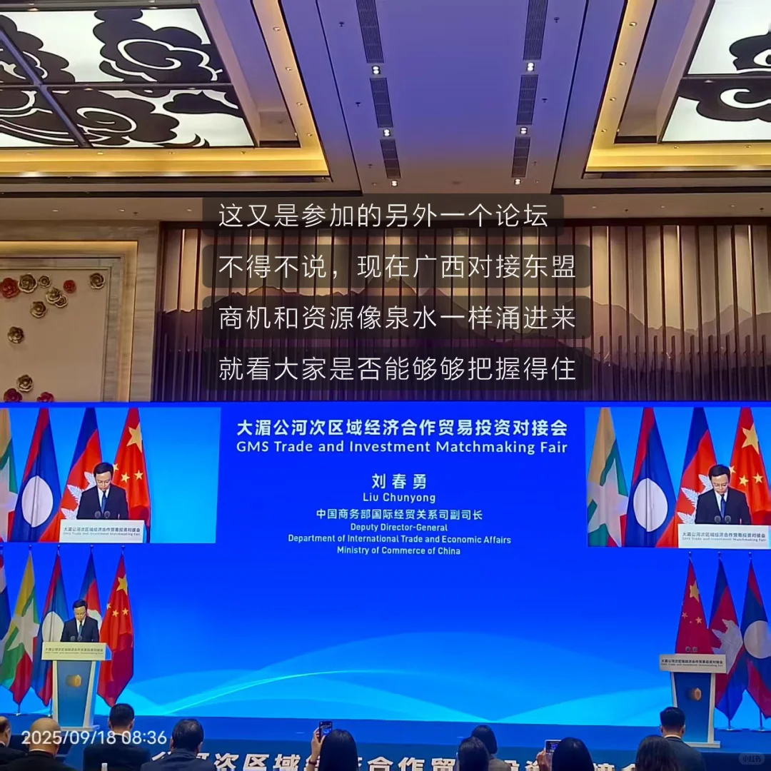 东盟博览会 发现这些普通人闷声发财的商机