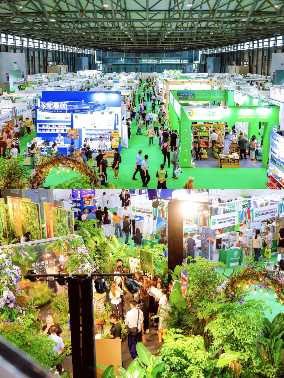 逛有机展被海尔冰箱圈粉原来保鲜能这么有温