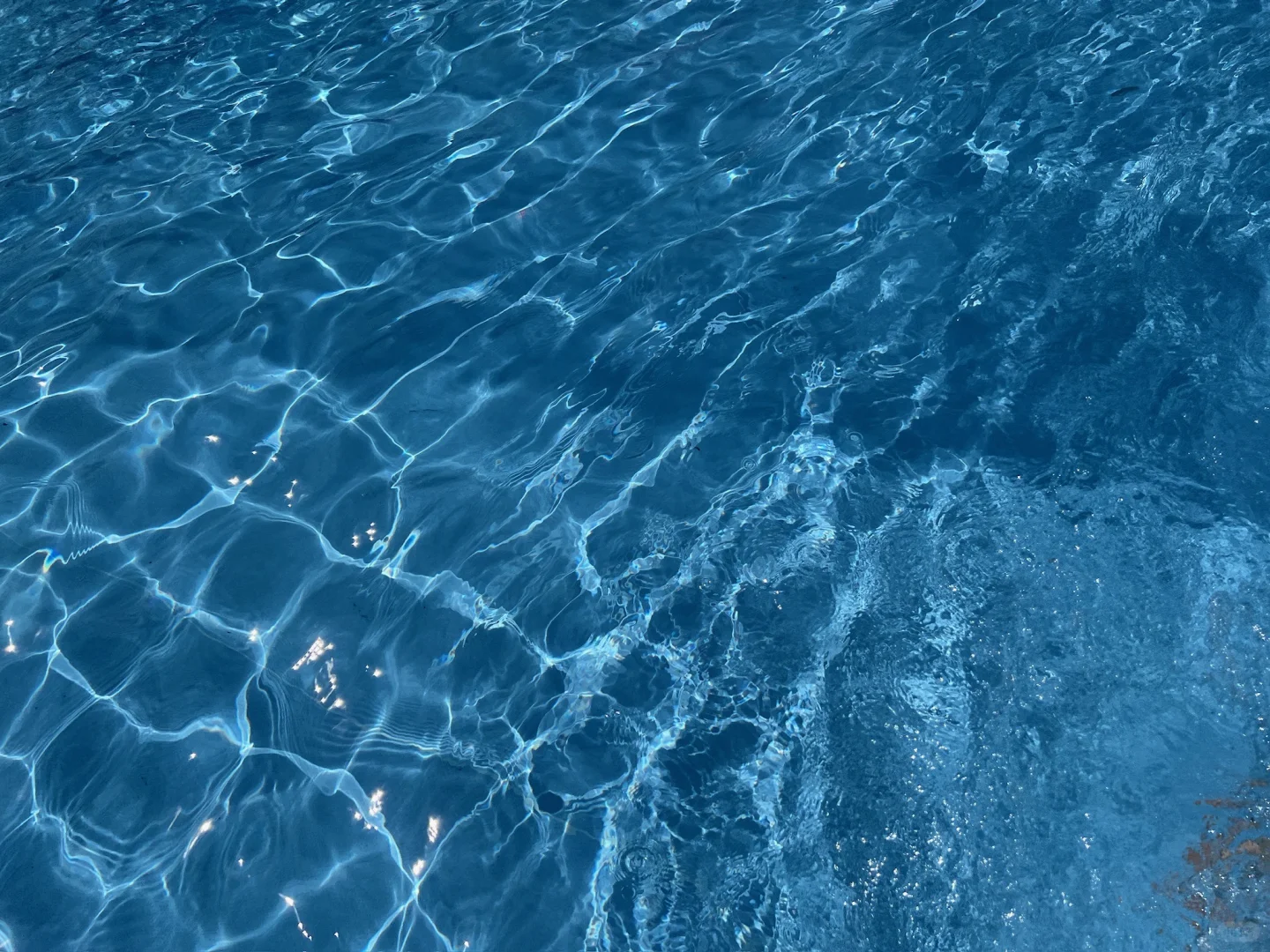 ??⋆ ₊???? ???₊⋆??‍♀️???