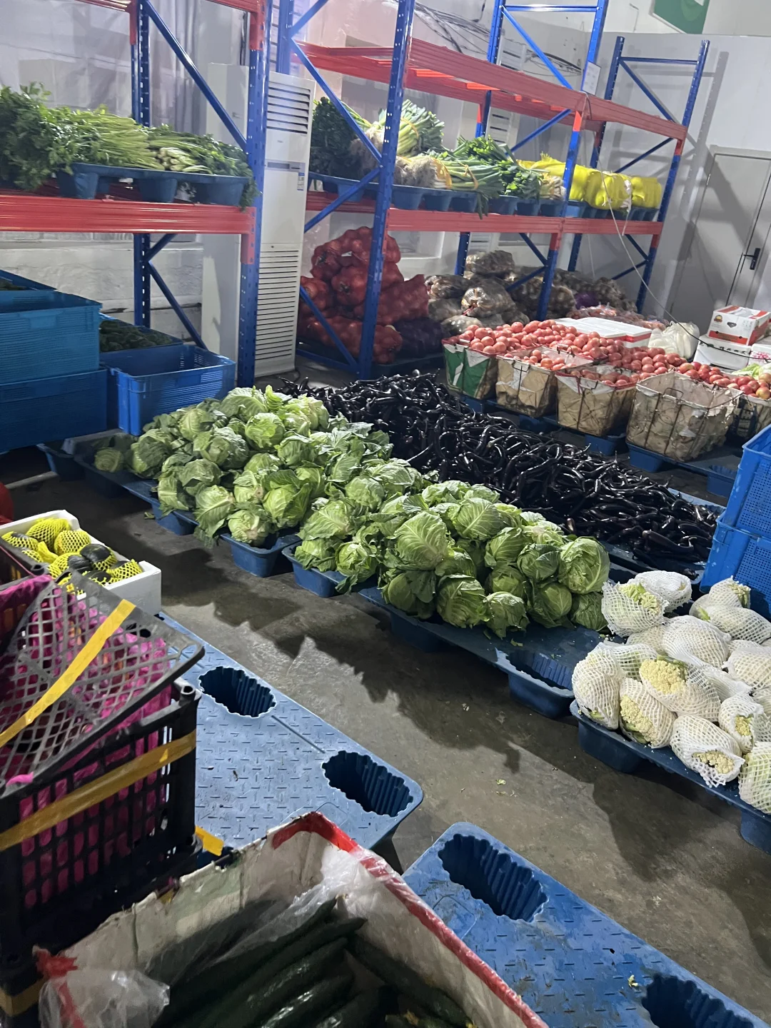 哈尔滨新区幼儿园食堂大宗食材供应场地考察