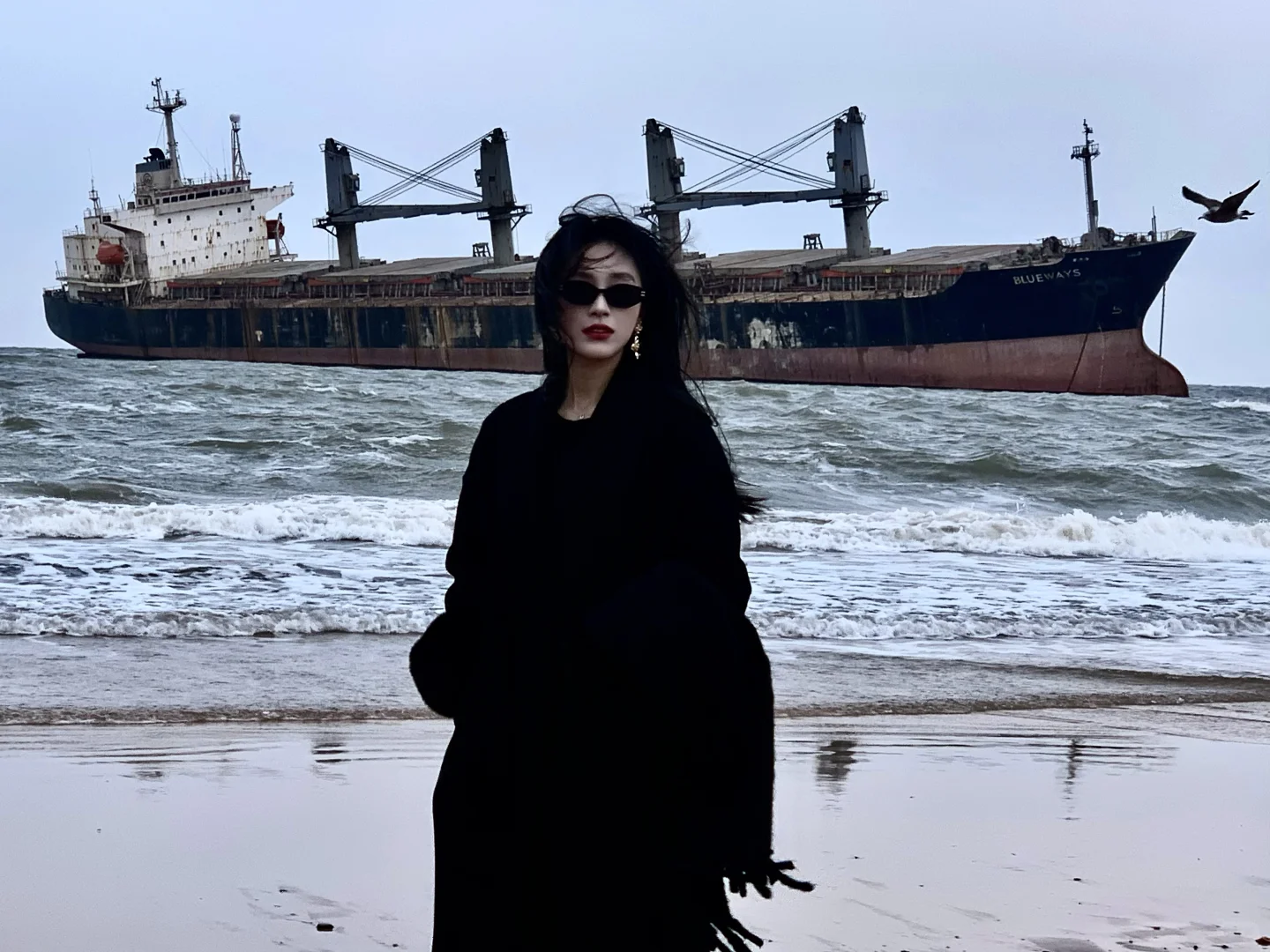 “ 这该死的宿命感 ”｜布鲁威斯号沉船