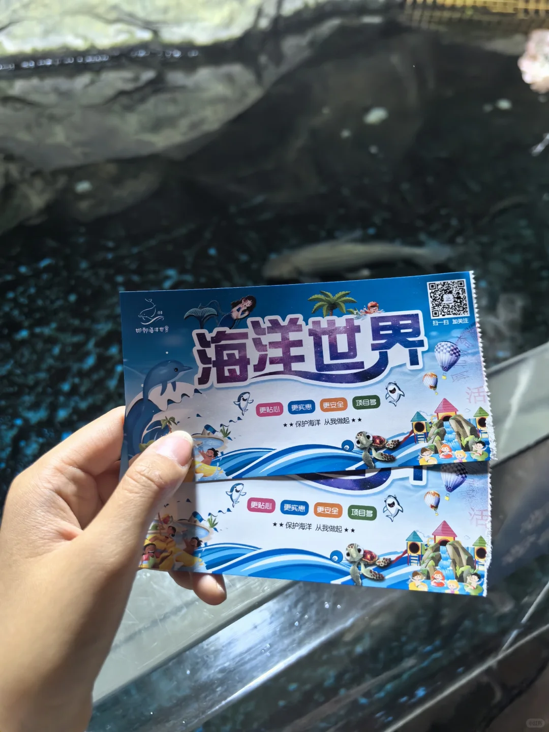 邯郸|早知道有海底世界还去什么三亚?