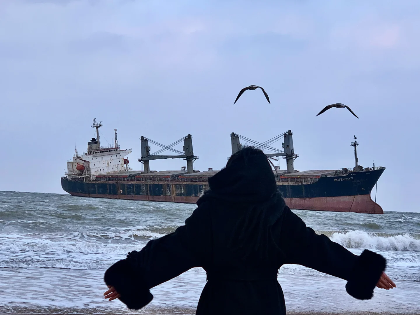 “ 这该死的宿命感 ”｜布鲁威斯号沉船