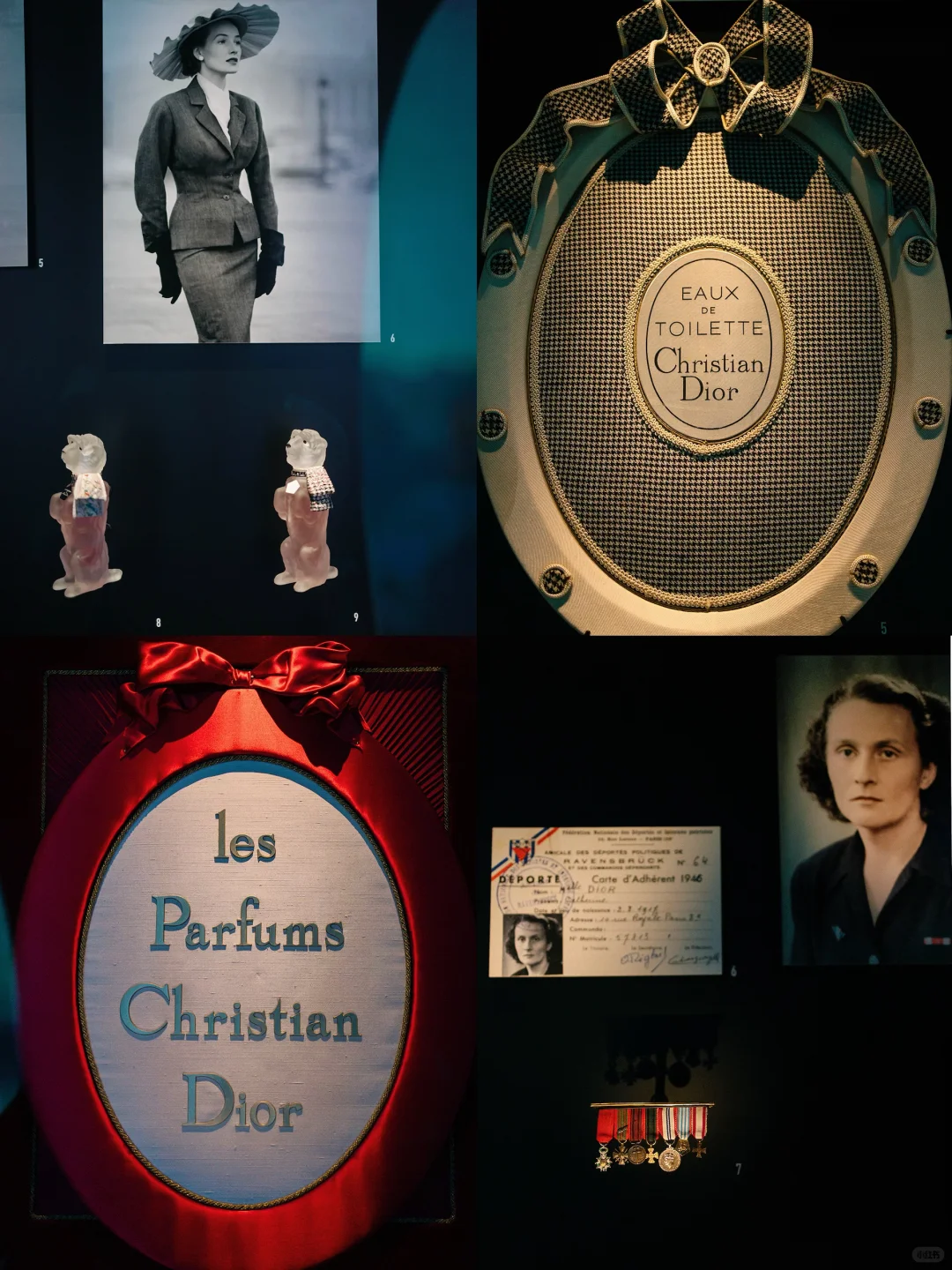 上海9月必冲的4个新展?美到窒息‼️附攻略