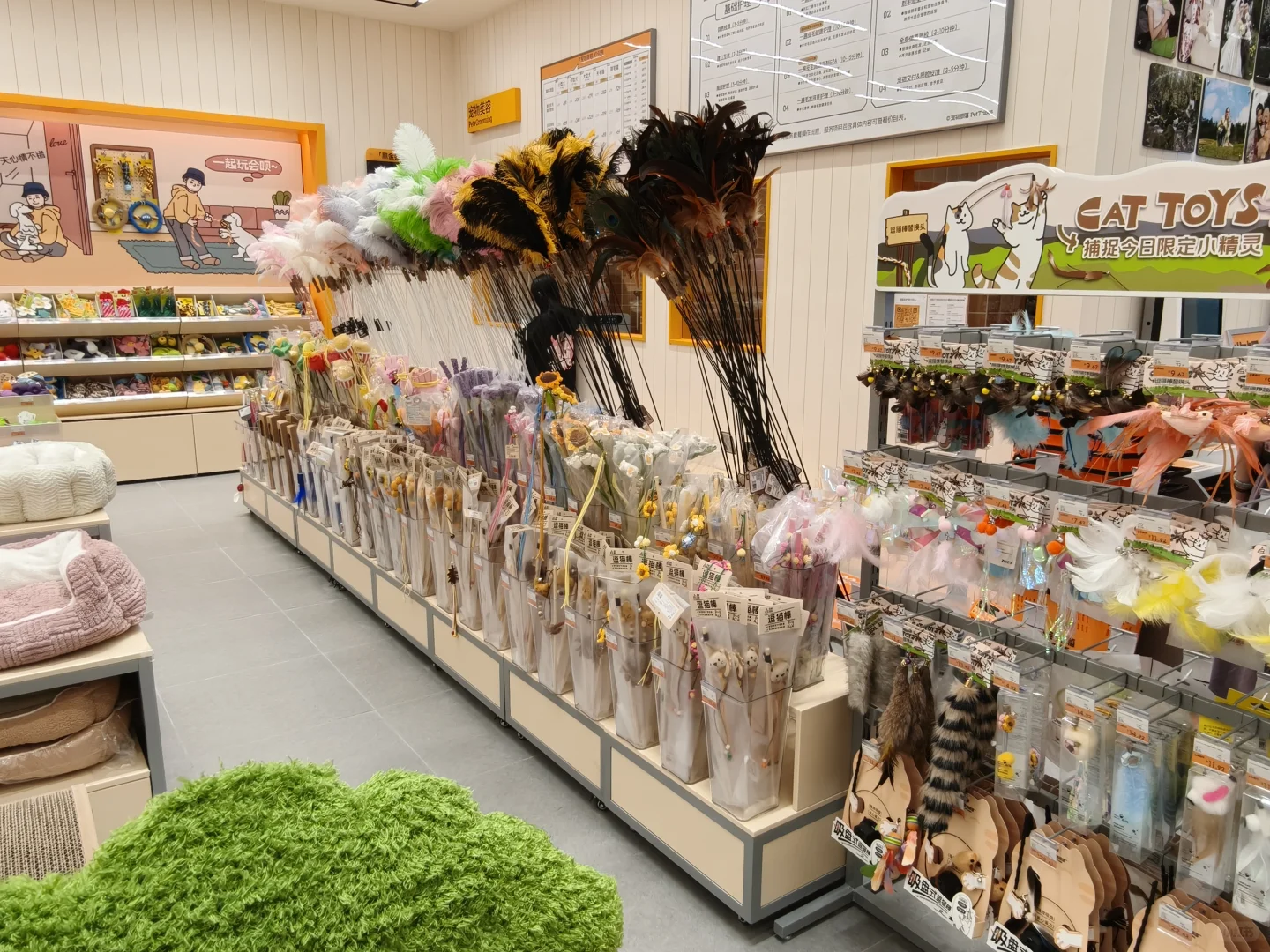 西安也有大型宠物超市了❗
