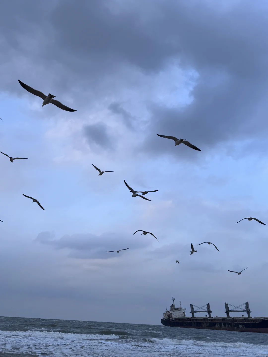 “ 这该死的宿命感 ”｜布鲁威斯号沉船