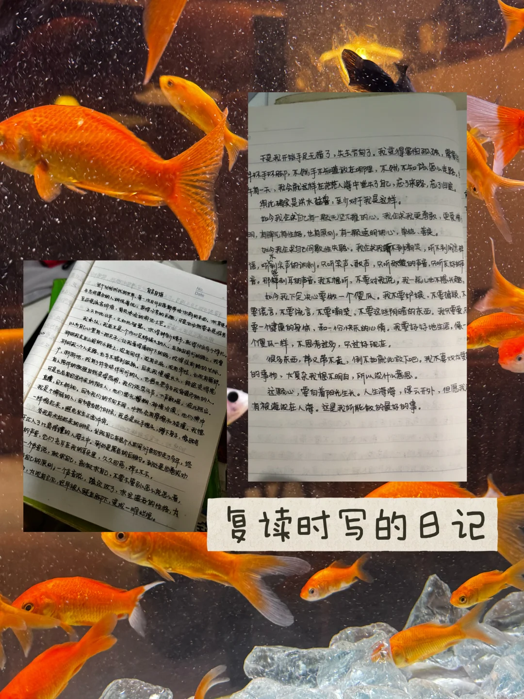 30多岁INFJ送给25岁INFJ的使用说明书——