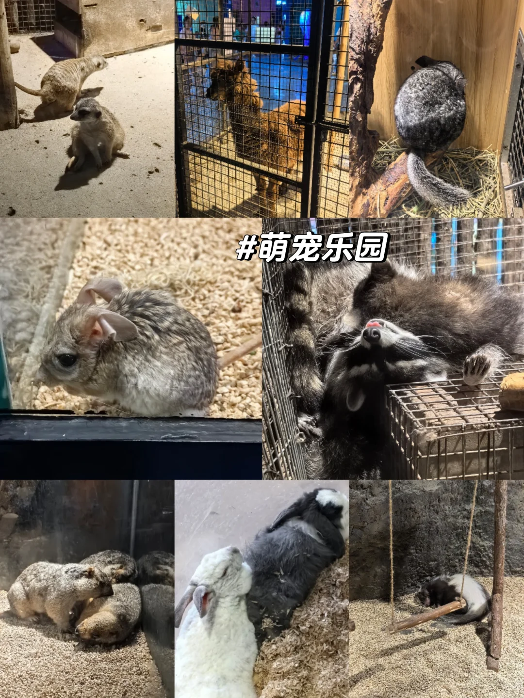 邯郸|早知道有海底世界还去什么三亚?