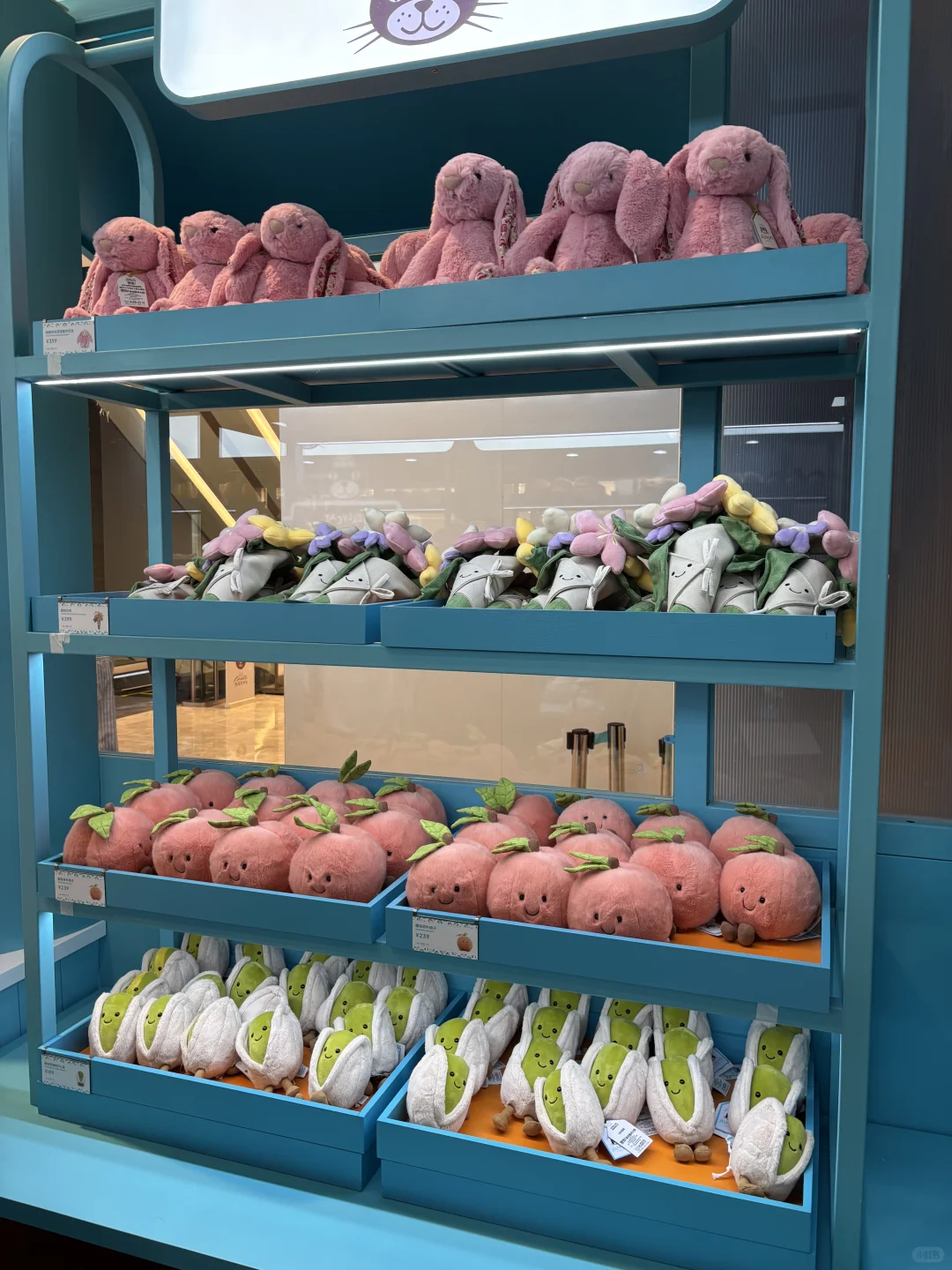 jellycat北京快闪｜桃子蛋糕拿到啦?