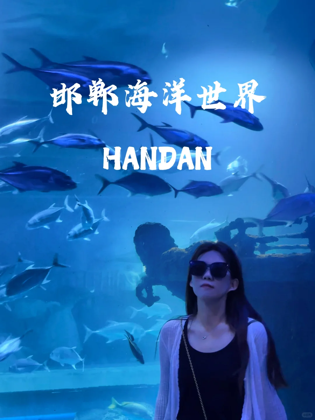 邯郸|早知道有海底世界还去什么三亚?