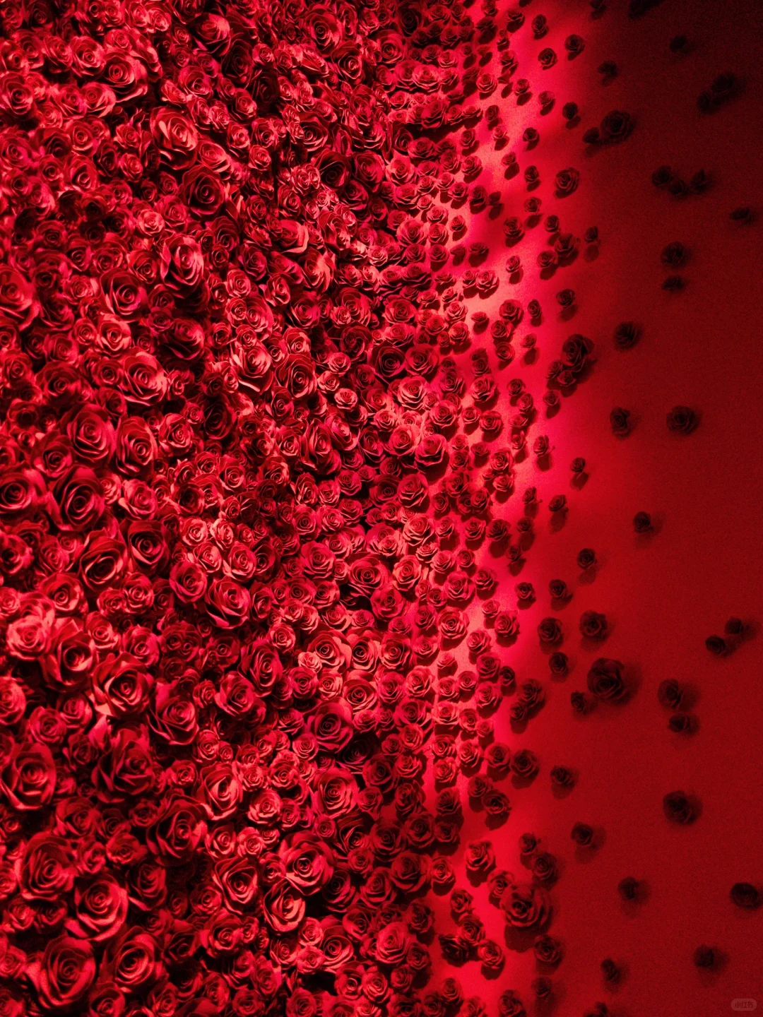 上海9月必冲的4个新展?美到窒息‼️附攻略