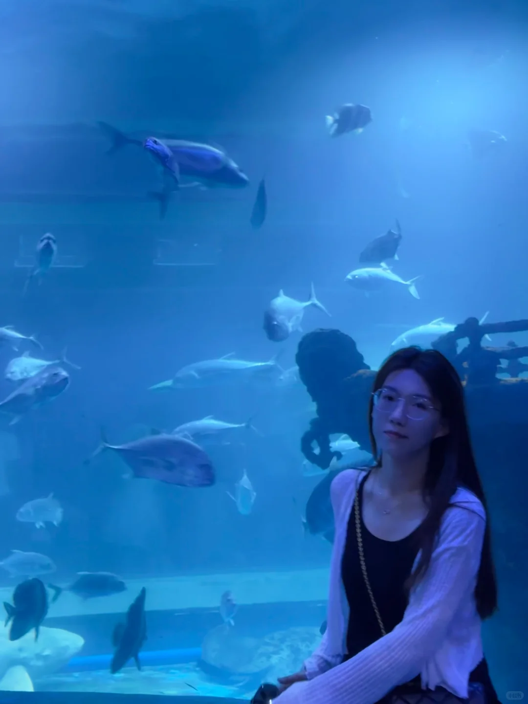 邯郸|早知道有海底世界还去什么三亚?