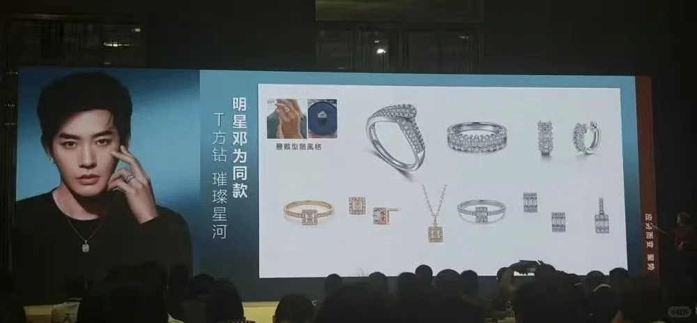 天然钻石协会项目推介会