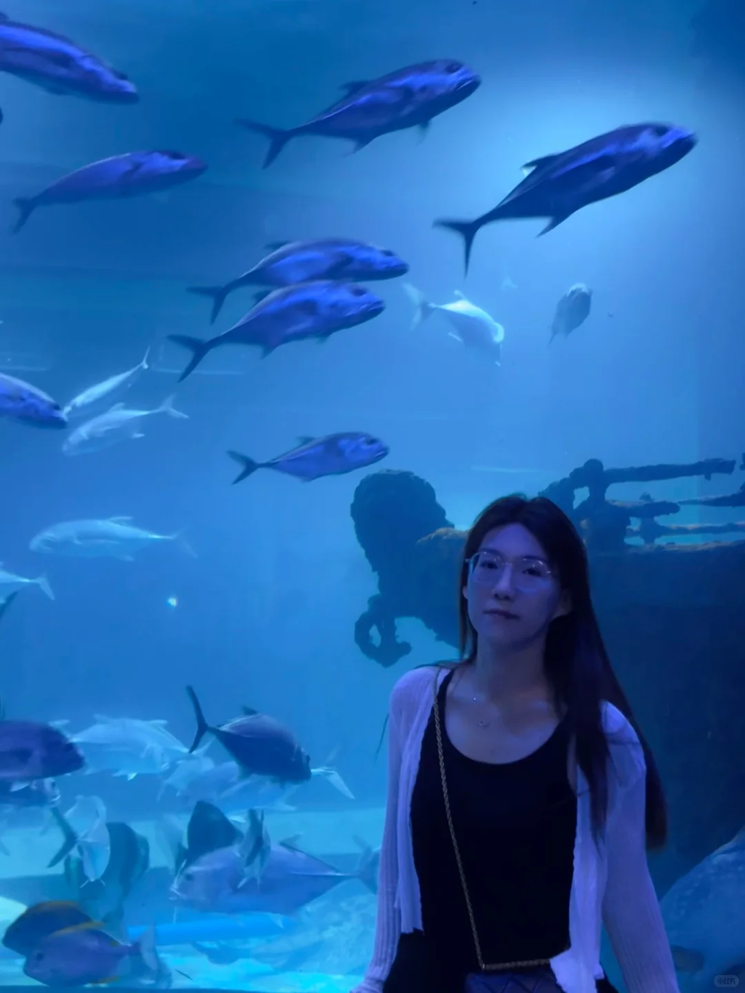 邯郸|早知道有海底世界还去什么三亚?