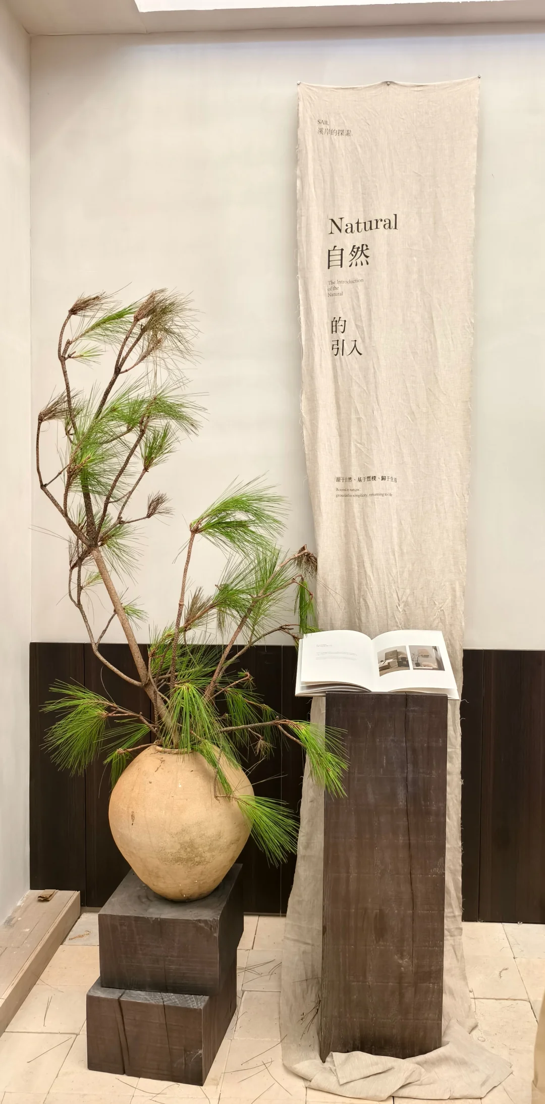 【观】2025上海展